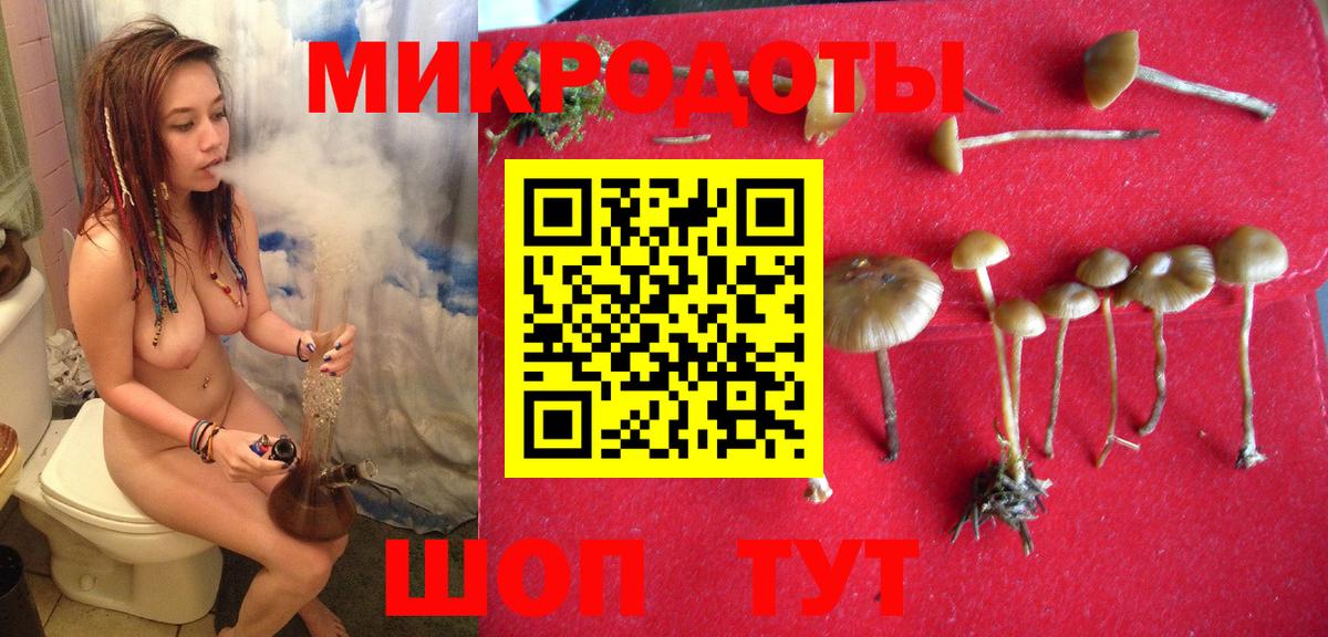 Галлюциногенные грибы прущие грибы  Псилоцибиновые грибы прущие грибы  Малоярославец  Вход с VPN 