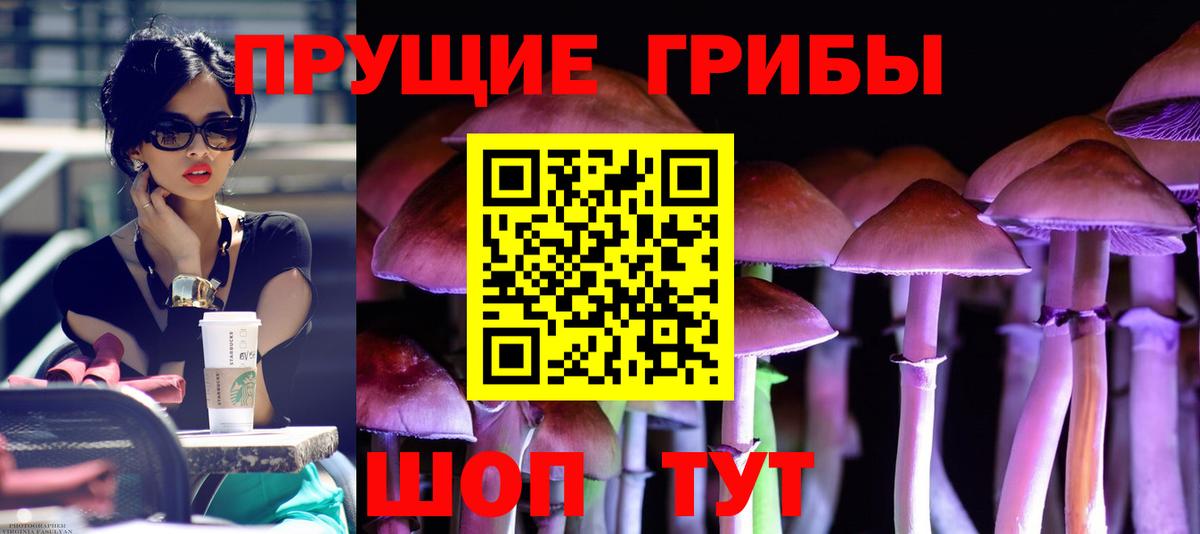 Галлюциногенные грибы прущие грибы Малоярославец